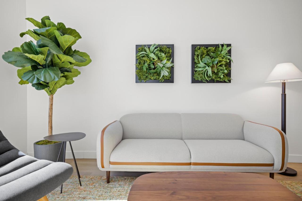 Whyhotel By Placemakr, San José Extérieur photo